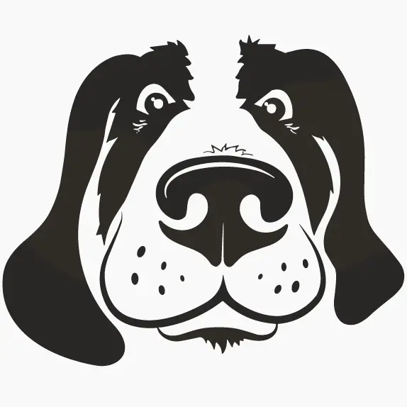 Ceren Sichmann - Hundefriseurin in Freiburg